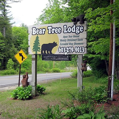 Bear Tree Lodge Weirs Beach Exteriör bild