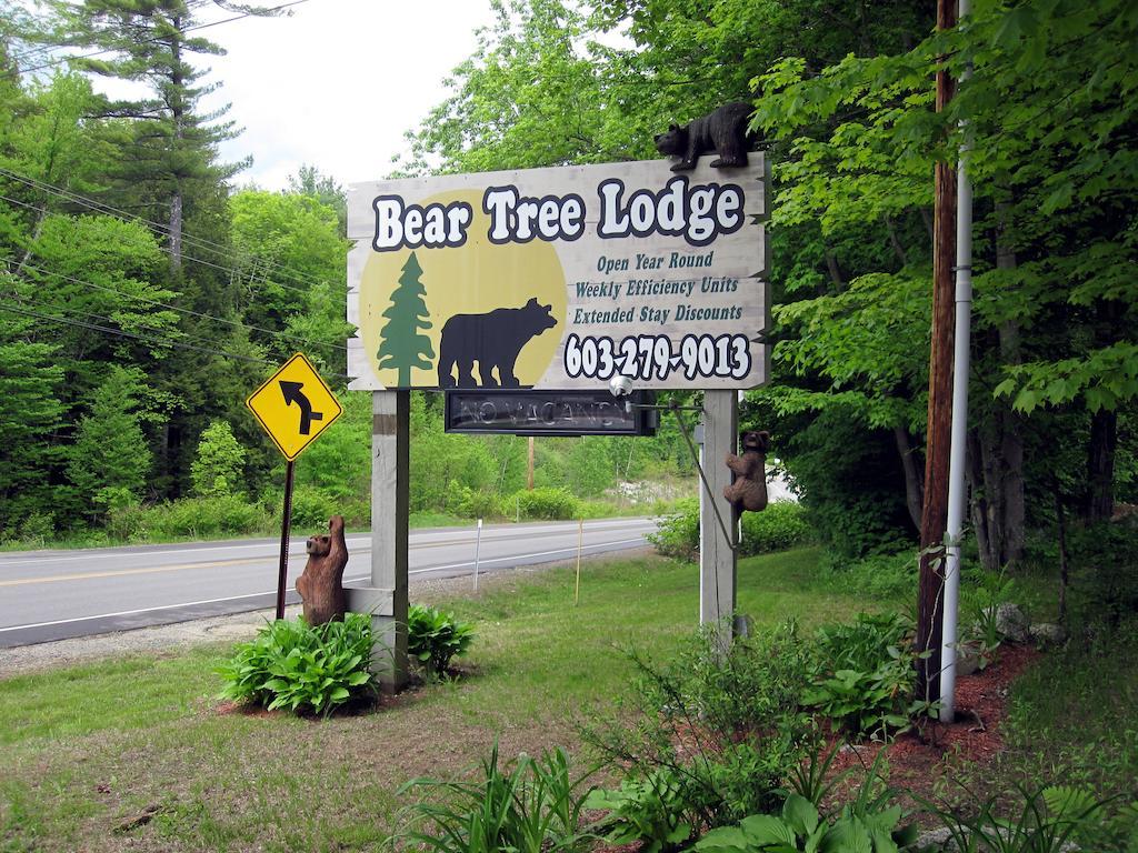Bear Tree Lodge Weirs Beach Exteriör bild